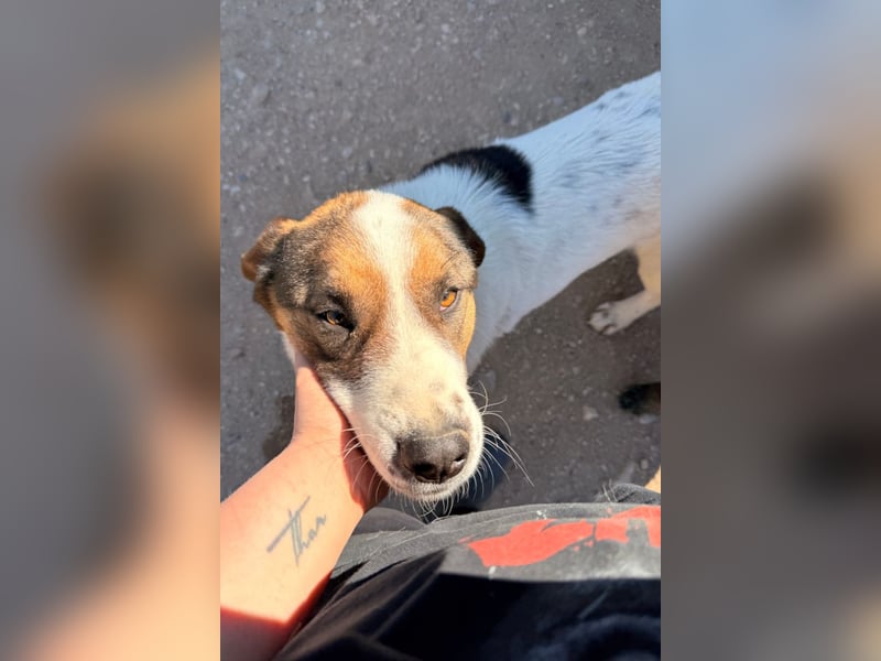 Maxima ❤️ verspielt, aktiv, verschmust!