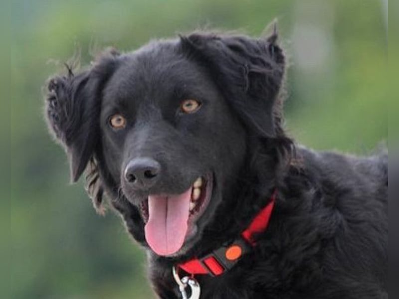 Noa ❤️ freundlich + super aufgeschlossen! Noa ❤️ freundlich + super aufgeschlossen!