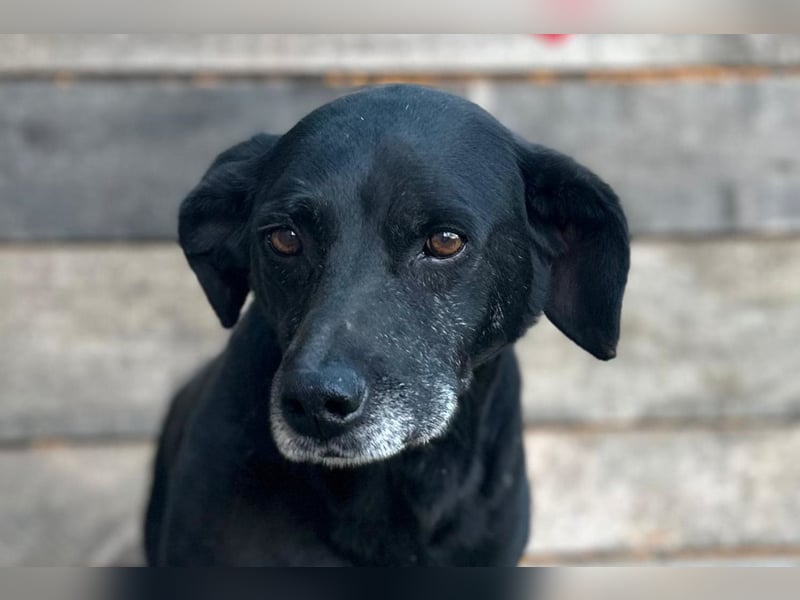 Audi ❤️ freundlicher & so lieber Schatz!