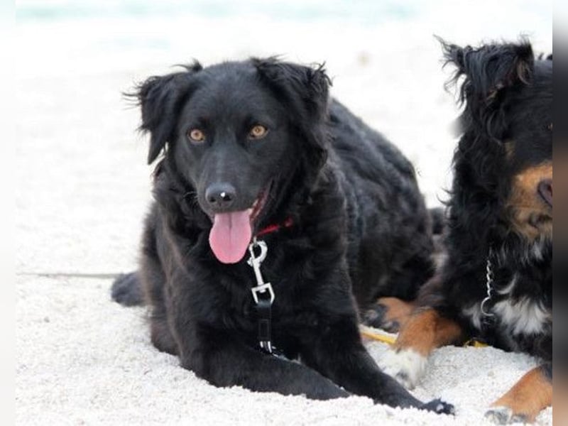 Noa ❤️ freundlich + super aufgeschlossen!