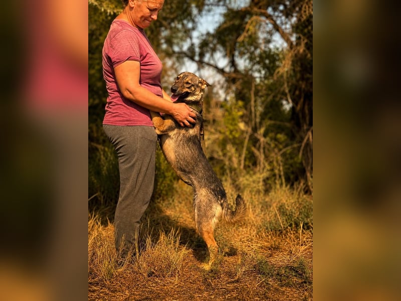 Freundliche Elsa sucht ihre Menschen