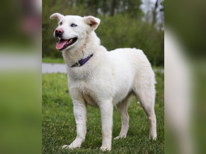 Schöne Smilla ❤️ klug, offen, lebhaft Schöne Smilla ❤️ klug, offen, lebhaft