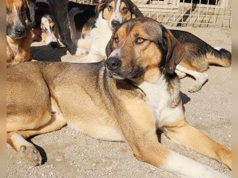 Dave möchte endlich seine Koffer packen