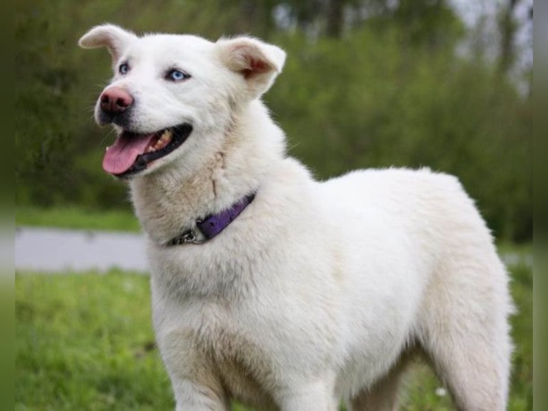 Schöne Smilla ❤️ klug, offen, lebhaft Schöne Smilla ❤️ klug, offen, lebhaft