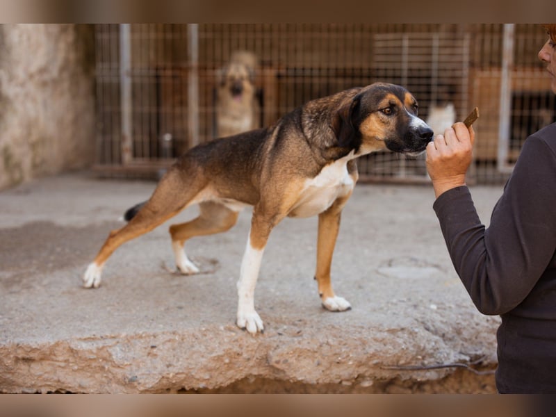 Dave möchte endlich seine Koffer packen