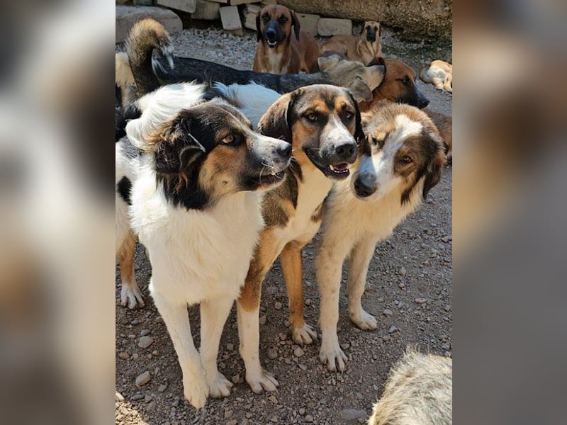 Dave möchte endlich seine Koffer packen