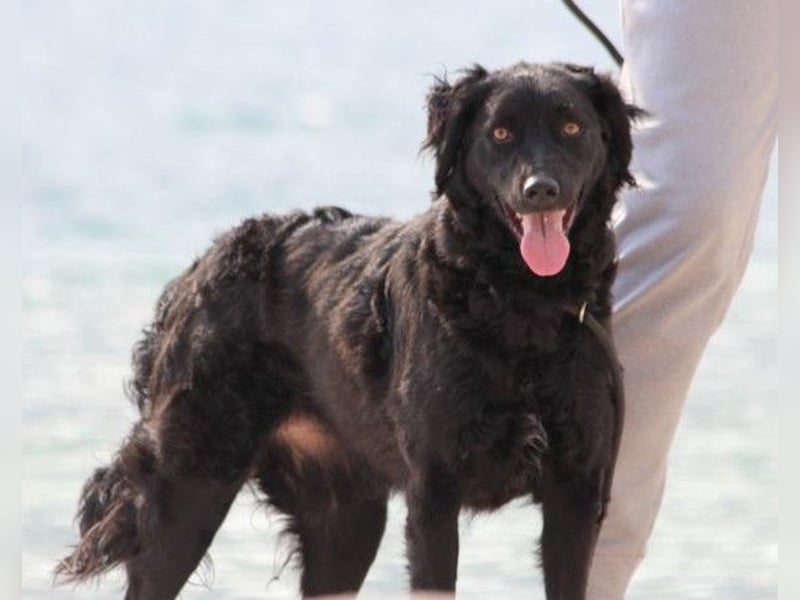 Noa ❤️ freundlich + super aufgeschlossen! Noa ❤️ freundlich + super aufgeschlossen!