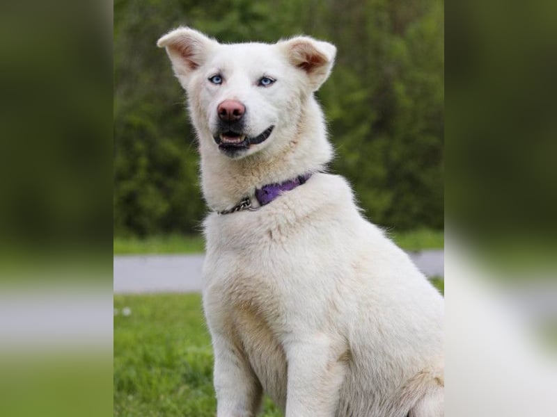 Schöne Smilla ❤️ klug, offen, lebhaft Schöne Smilla ❤️ klug, offen, lebhaft