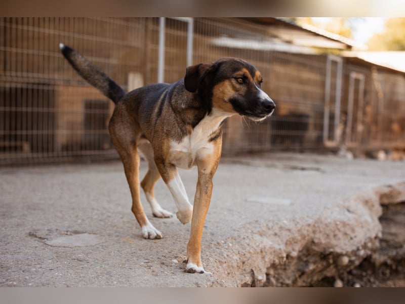 Dave möchte endlich seine Koffer packen