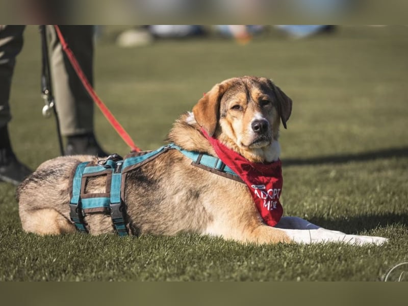 Marlin sucht seine Menschen
