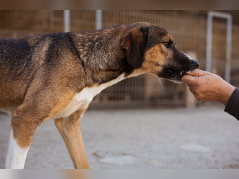 Dave möchte endlich seine Koffer packen