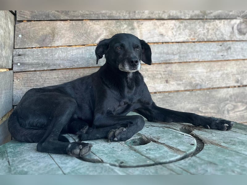 Audi ❤️ freundlicher & so lieber Schatz!