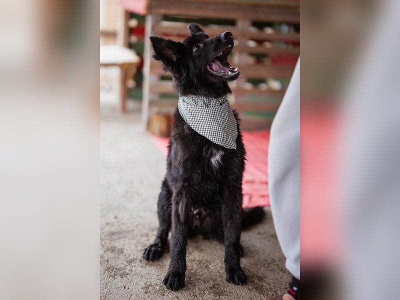 Kuschelbub ♥Noah♥ verspielt & lebensfroh