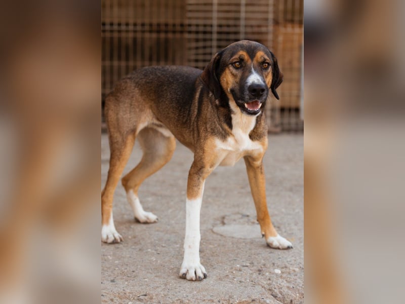 Dave möchte endlich seine Koffer packen