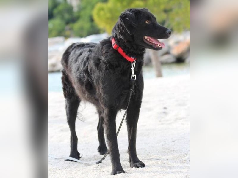 Noa ❤️ freundlich + super aufgeschlossen! Noa ❤️ freundlich + super aufgeschlossen!