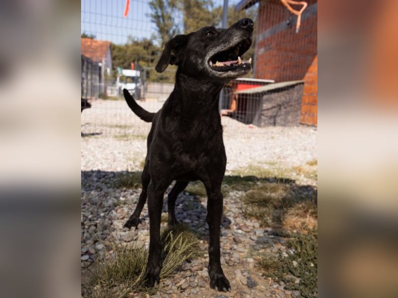 Audi ❤️ freundlicher & so lieber Schatz!