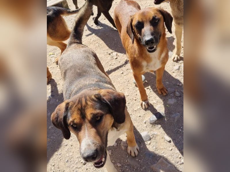 Dave möchte endlich seine Koffer packen