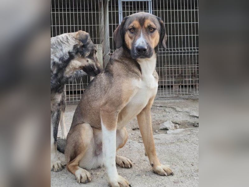 Dave möchte endlich seine Koffer packen