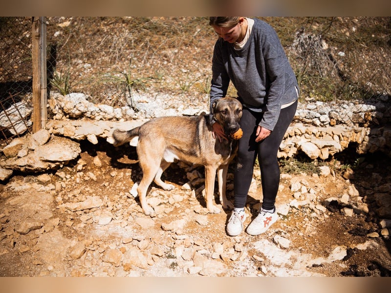 CharmingBoy ♥Luis♥ liebenswertes Fellherz