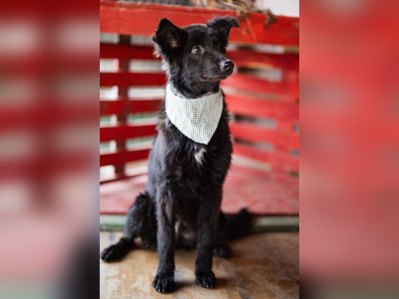 Kuschelbub ♥Noah♥ verspielt & lebensfroh