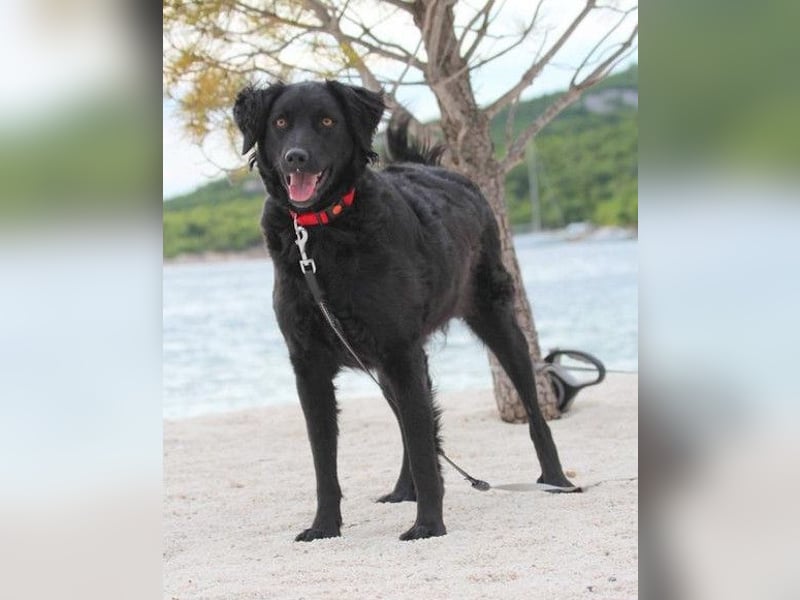 Noa ❤️ freundlich + super aufgeschlossen!