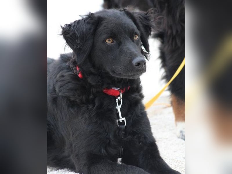 Noa ❤️ freundlich + super aufgeschlossen! Noa ❤️ freundlich + super aufgeschlossen!