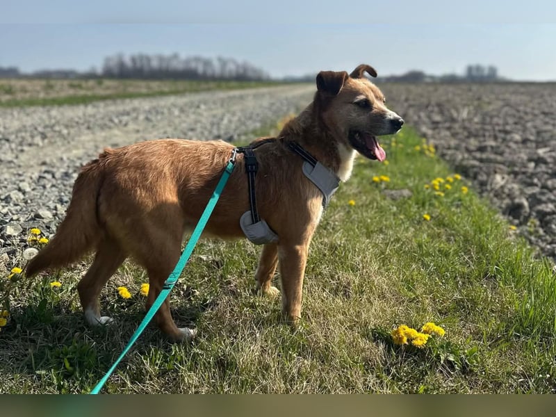 Floki ❤️ freundlich & so menschenbezogen