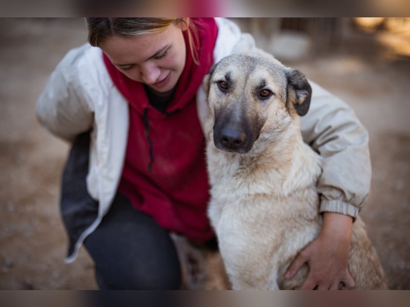 ♥Fly♥ eine herzliche, treue Fellfreundin