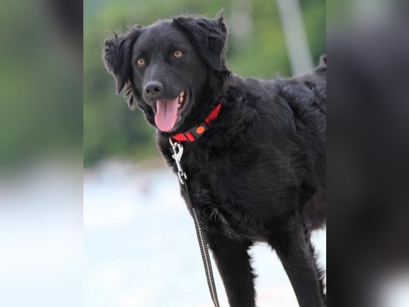 Noa ❤️ freundlich + super aufgeschlossen! Noa ❤️ freundlich + super aufgeschlossen!