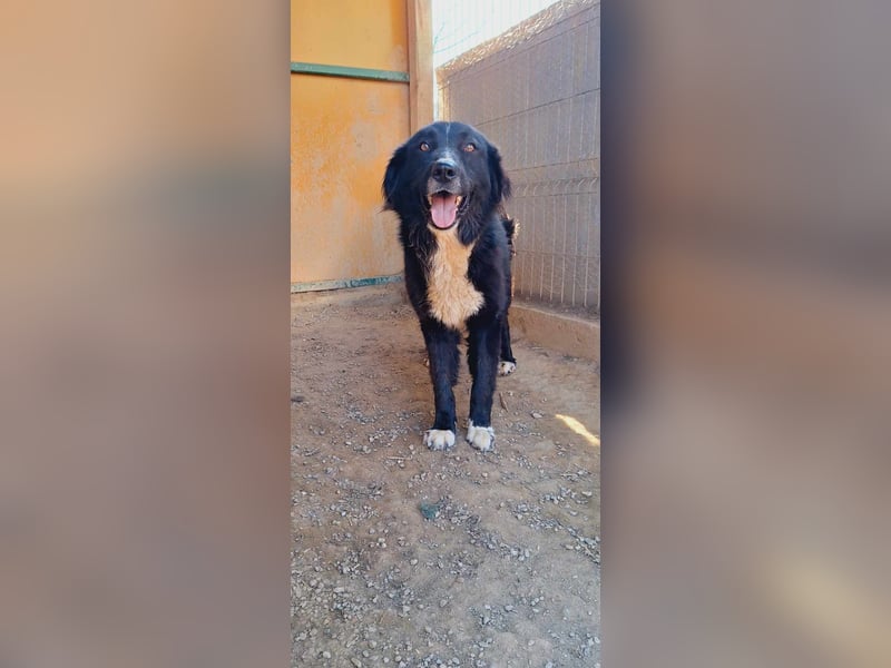 Esperanza hat die Hoffnung nicht aufgegeben