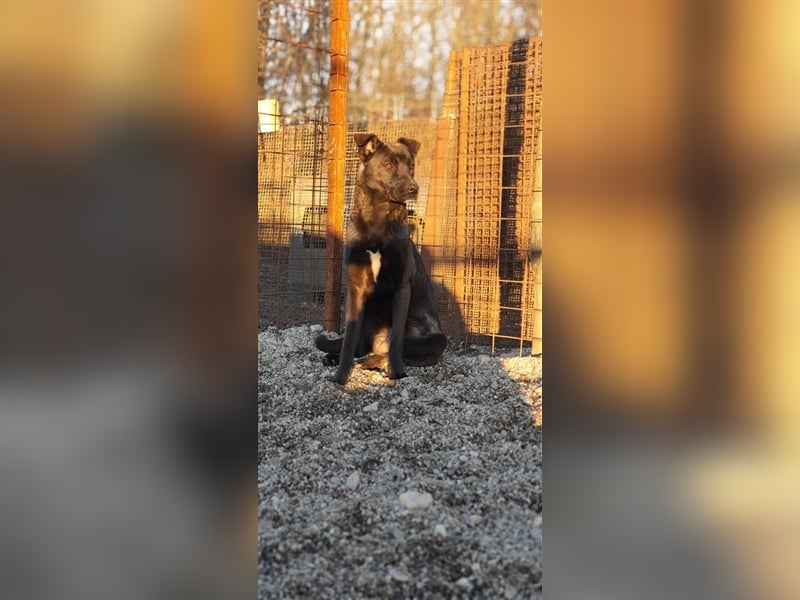 Thanos der schüchterne Riese