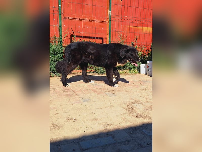 Esperanza hat die Hoffnung nicht aufgegeben