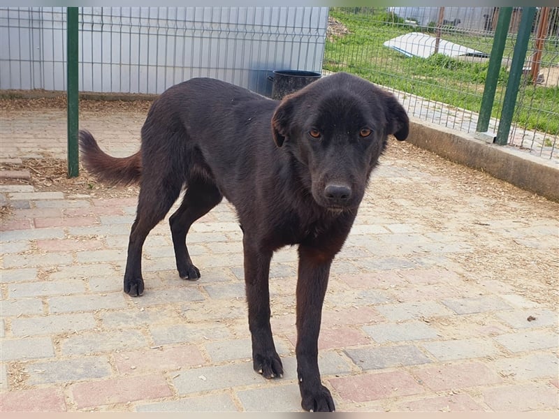 Rieke die schwarze Perle