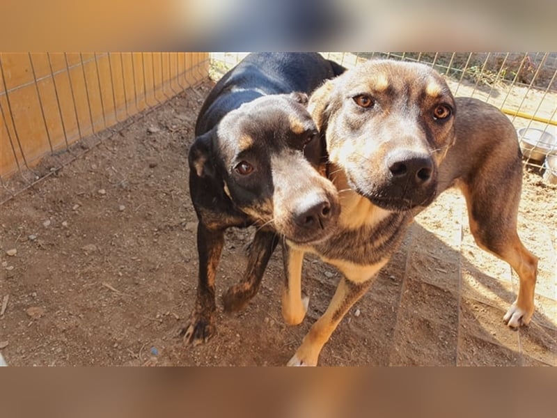 Kaia noch etwas zurückhaltend