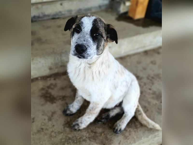 Knopf möchte in Sicherheit aufwachsen