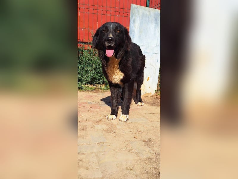 Esperanza hat die Hoffnung nicht aufgegeben