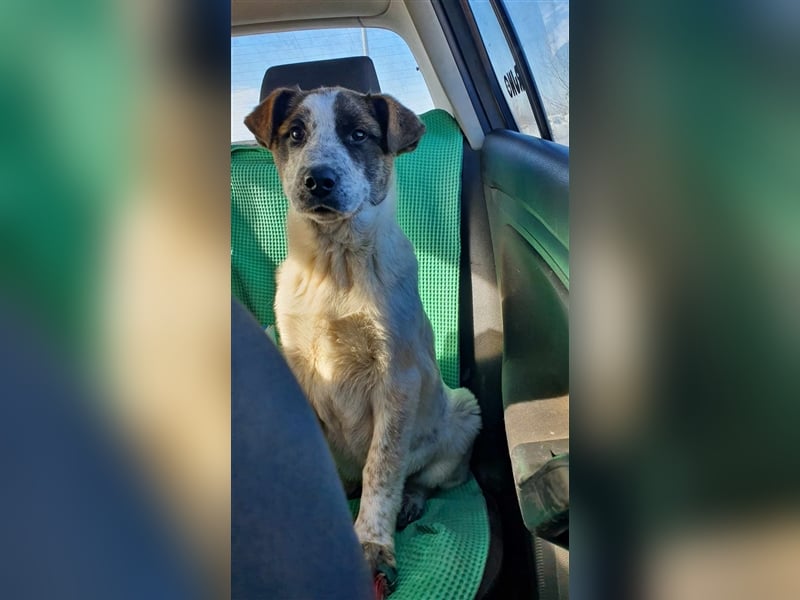 Knopf möchte in Sicherheit aufwachsen