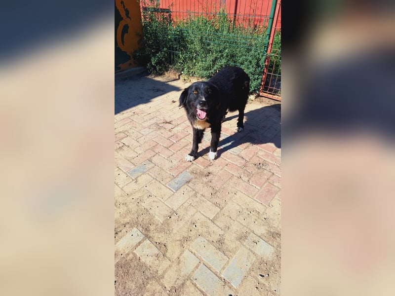 Esperanza hat die Hoffnung nicht aufgegeben