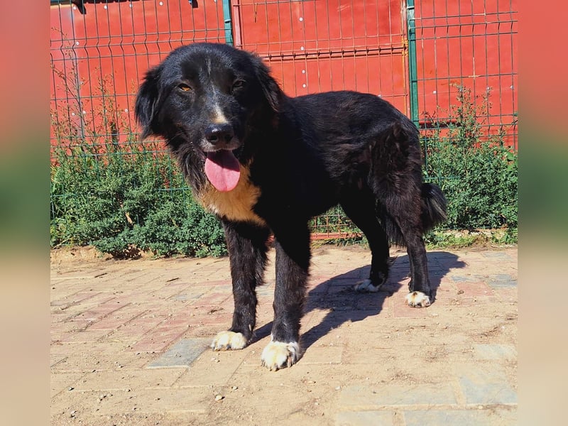 Esperanza hat die Hoffnung nicht aufgegeben