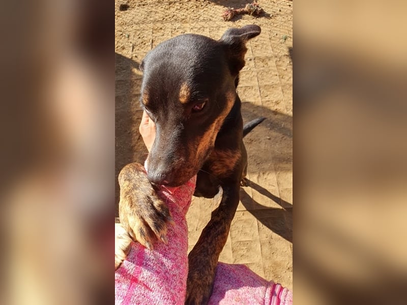 Kaia noch etwas zurückhaltend