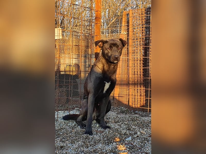 Thanos der schüchterne Riese