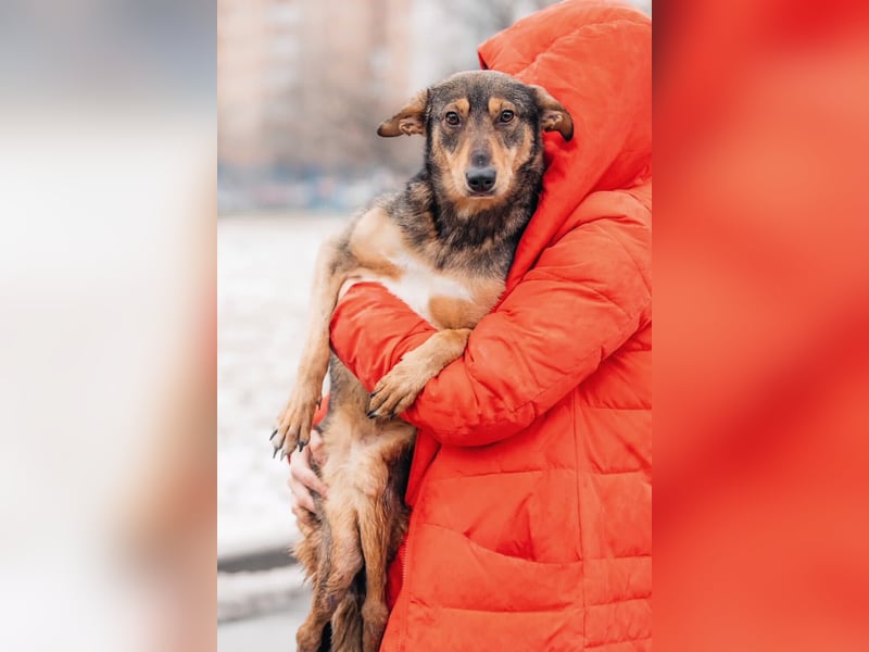 Besondere Miranda sucht ihre Menschen