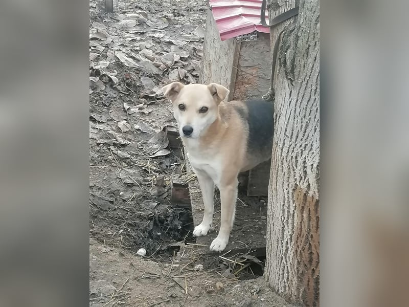 Lupita - liebenswerte Seniorin