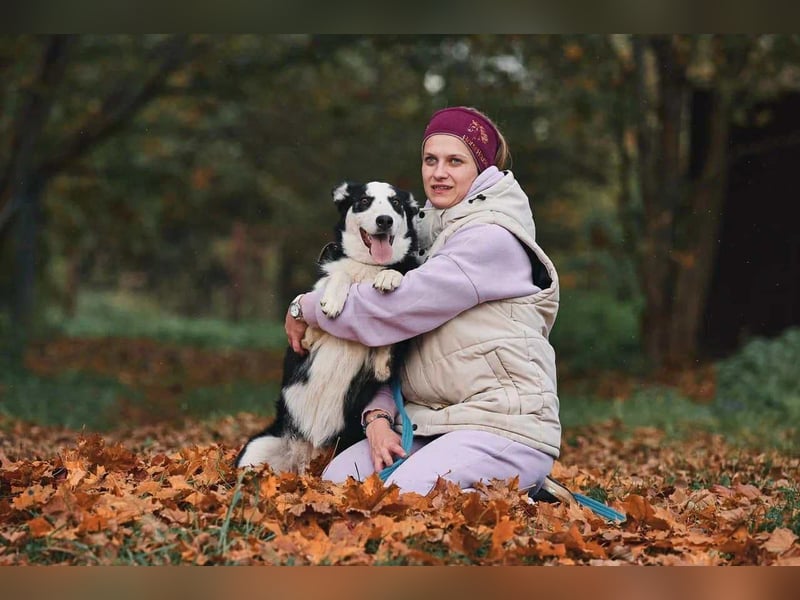 Lebensfroher Chico sucht seine Menschen