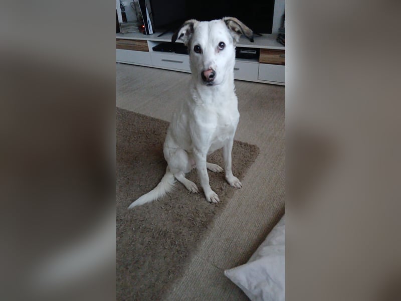 Bailey: wer fängt sie auf?