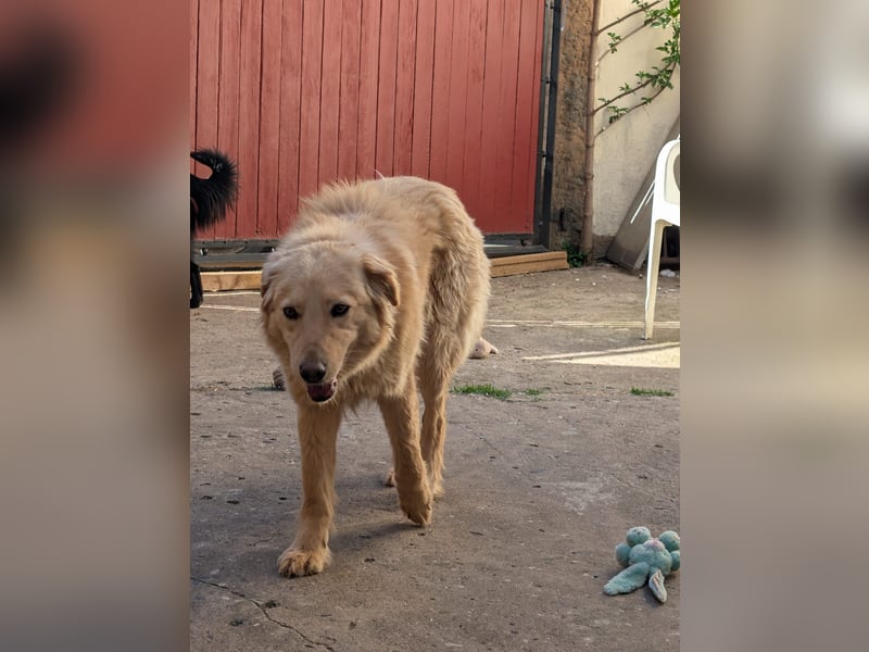 Kuschelige Riane wartet in 97724 Burglauer auf Besuch