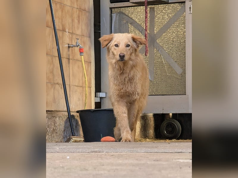 Kuschelige Riane wartet in 97724 Burglauer auf Besuch