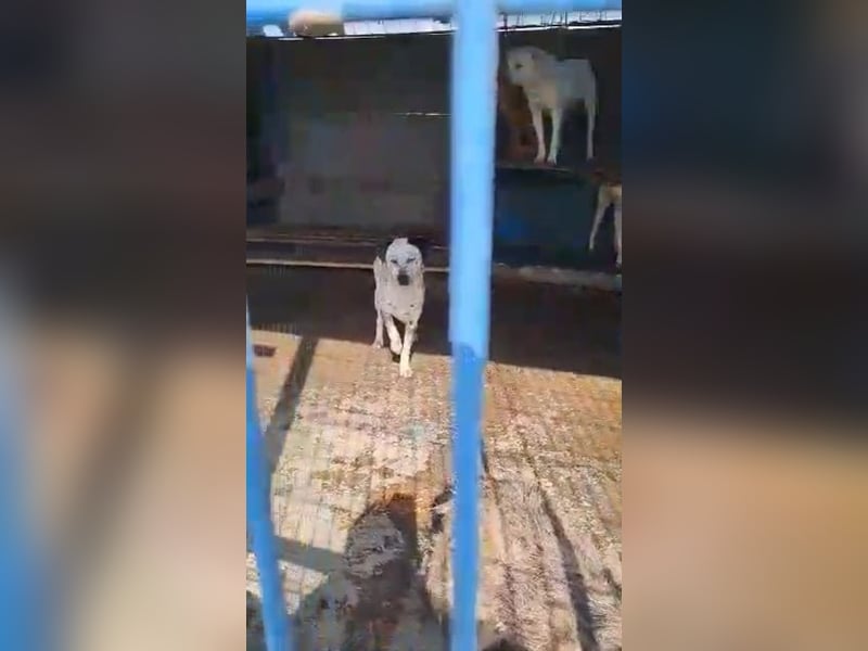 Lina, die, die leise hofft...