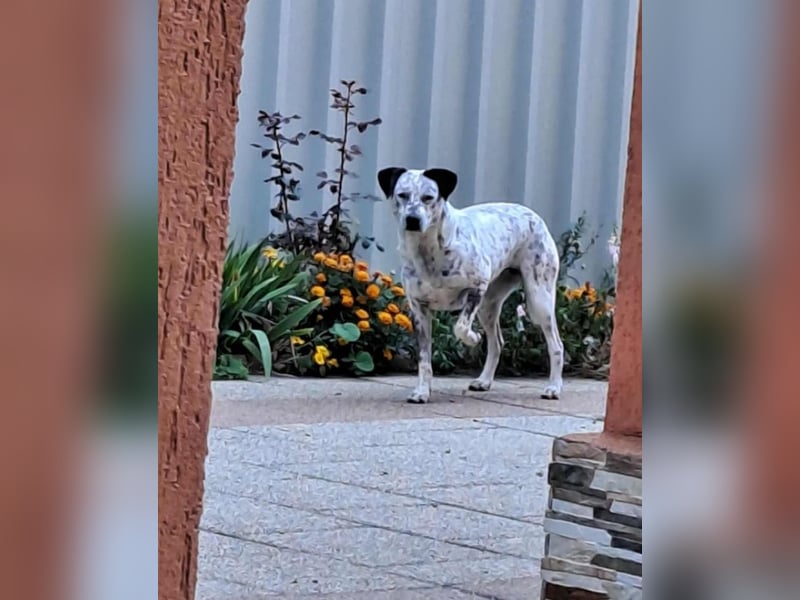 Lina, die, die leise hofft...