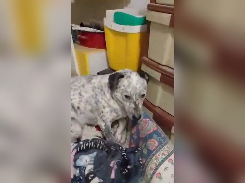 Lina, die, die leise hofft...